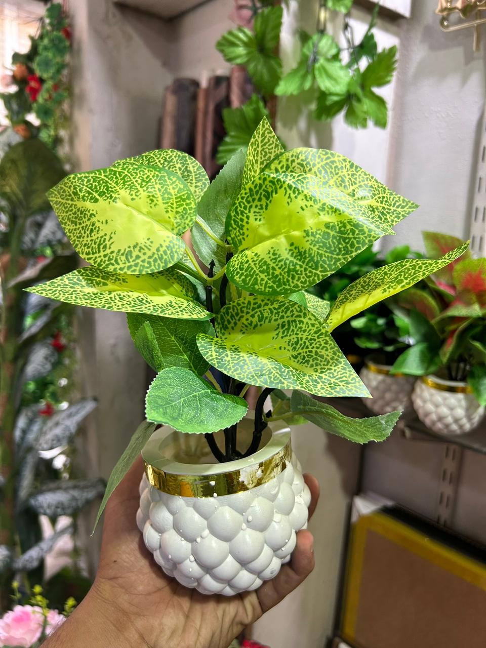 auto draft auto draft