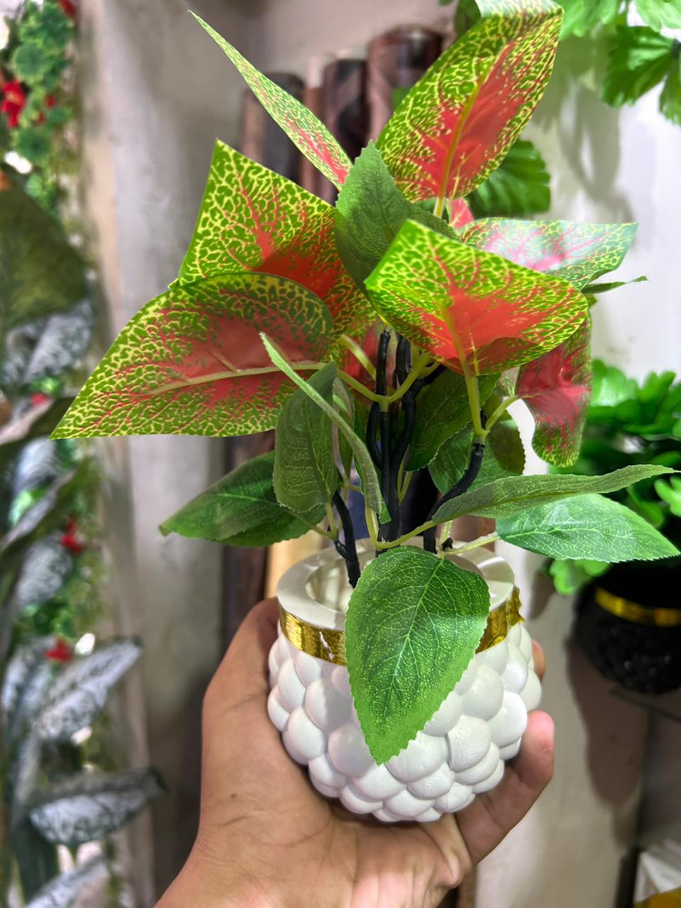 auto draft auto draft