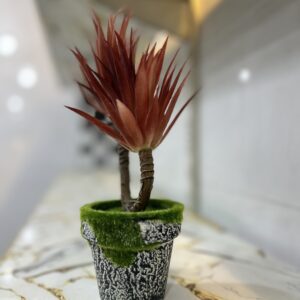 mosses plant table port